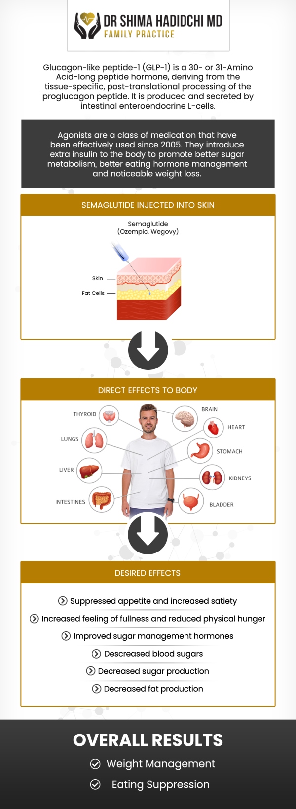 During your first week of Semaglutide GLP-1 therapy, you can expect your body to adjust to the medication gradually. The goal during this initial phase is to support tolerance and minimize side effects as your system adapts to the changes in blood sugar regulation and appetite control. Board-Certified Dr. Shima Hadidchi, MD, offers personalized care to help patients ease into treatment comfortably. She carefully monitors your progress, provides nutritional recommendations, and adjusts dosages as needed to ensure your body responds safely and effectively. For more information contact us today or schedule an appointment online. We have convenient locations to serve you in Apple Valley, CA and Victorville, CA. During your first week of Semaglutide GLP-1 therapy, you can expect your body to adjust to the medication gradually. The goal during this initial phase is to support tolerance and minimize side effects as your system adapts to the changes in blood sugar regulation and appetite control. Board-Certified Dr. Shima Hadidchi, MD, offers personalized care to help patients ease into treatment comfortably. She carefully monitors your progress, provides nutritional recommendations, and adjusts dosages as needed to ensure your body responds safely and effectively. For more information contact us today or schedule an appointment online. We have convenient locations to serve you in Apple Valley, CA and Victorville, CA.